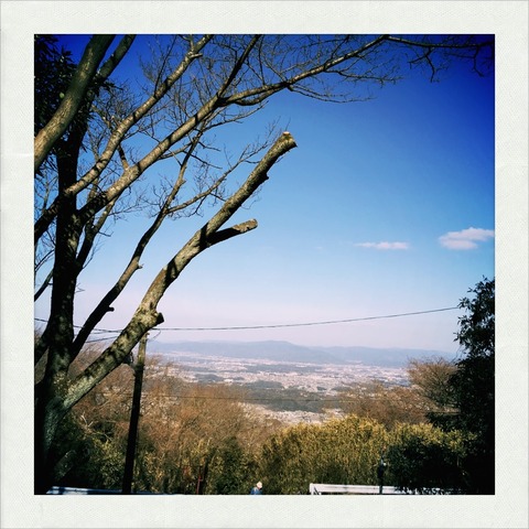 生駒山 景色